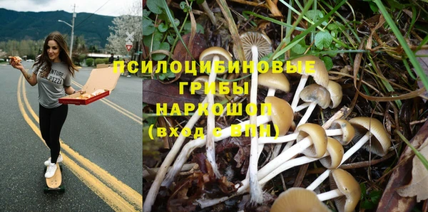 сатива Алзамай