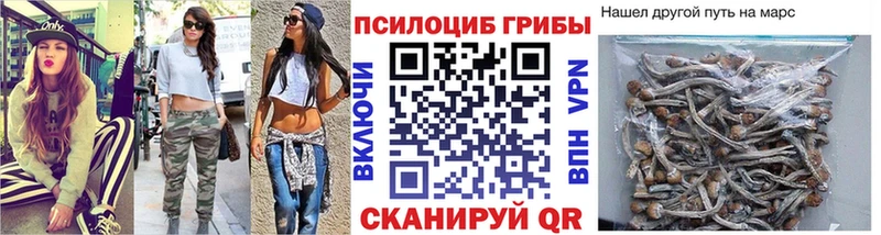 Галлюциногенные грибы Psilocybe  гидра зеркало  Тогучин 