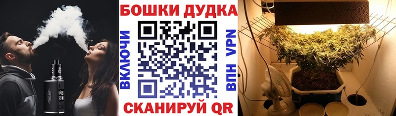 Бошки марихуана гибрид  darknet состав  Тогучин 